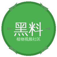 黑料